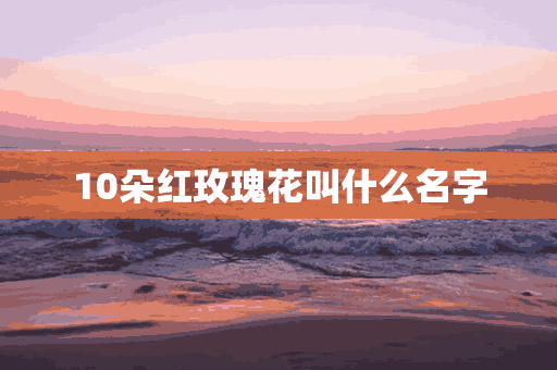 10朵红玫瑰花叫什么名字(10朵红玫瑰花叫什么名字呢)